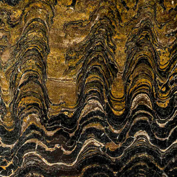 Stromatolithen und Algen