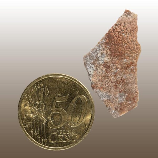 Hypselosaurus priscus – Bild 5