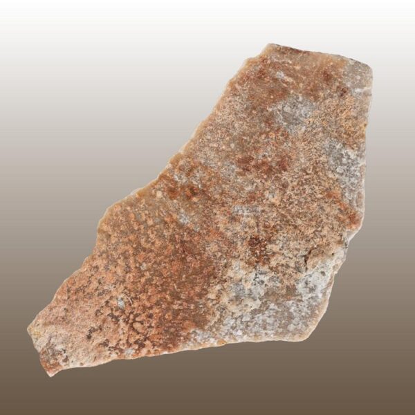 Hypselosaurus priscus – Bild 2