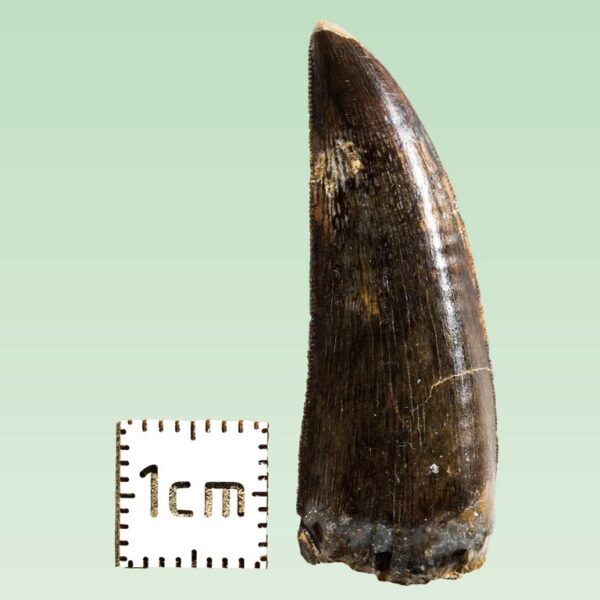Bagaraatan ostromi – Bild 7