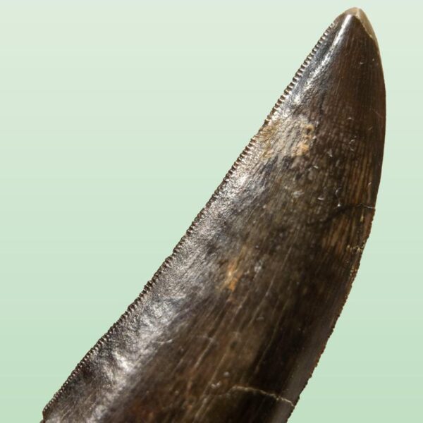 Bagaraatan ostromi – Bild 5