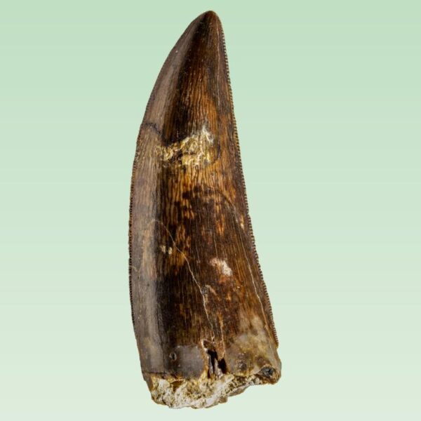 Bagaraatan ostromi – Bild 2
