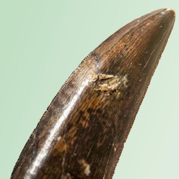 Bagaraatan ostromi – Bild 6