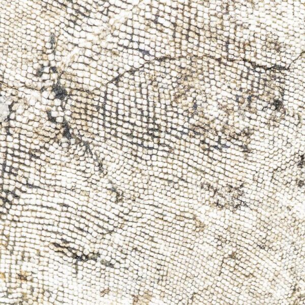 Acanthodes cf. ruhinensis – Bild 7