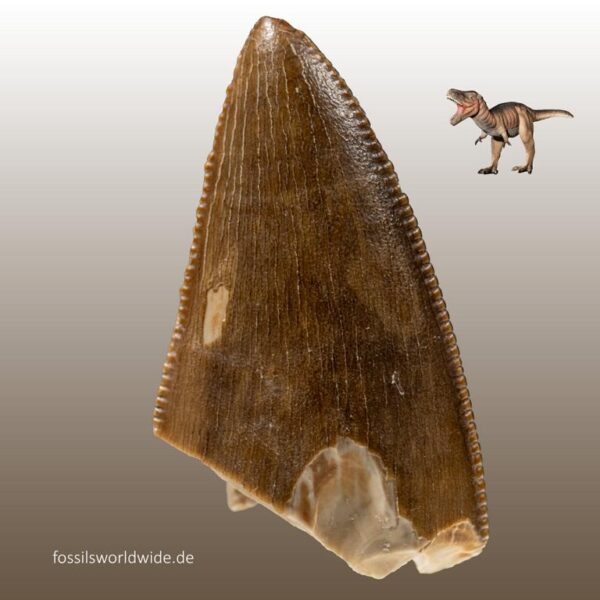 Tarbosaurus bataar